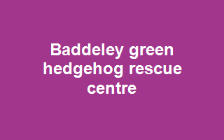Baddeley green hedgehog rescue centre