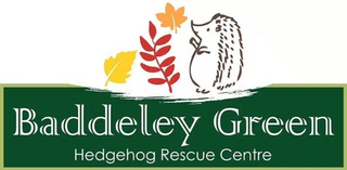 Baddeley green hedgehog rescue centre